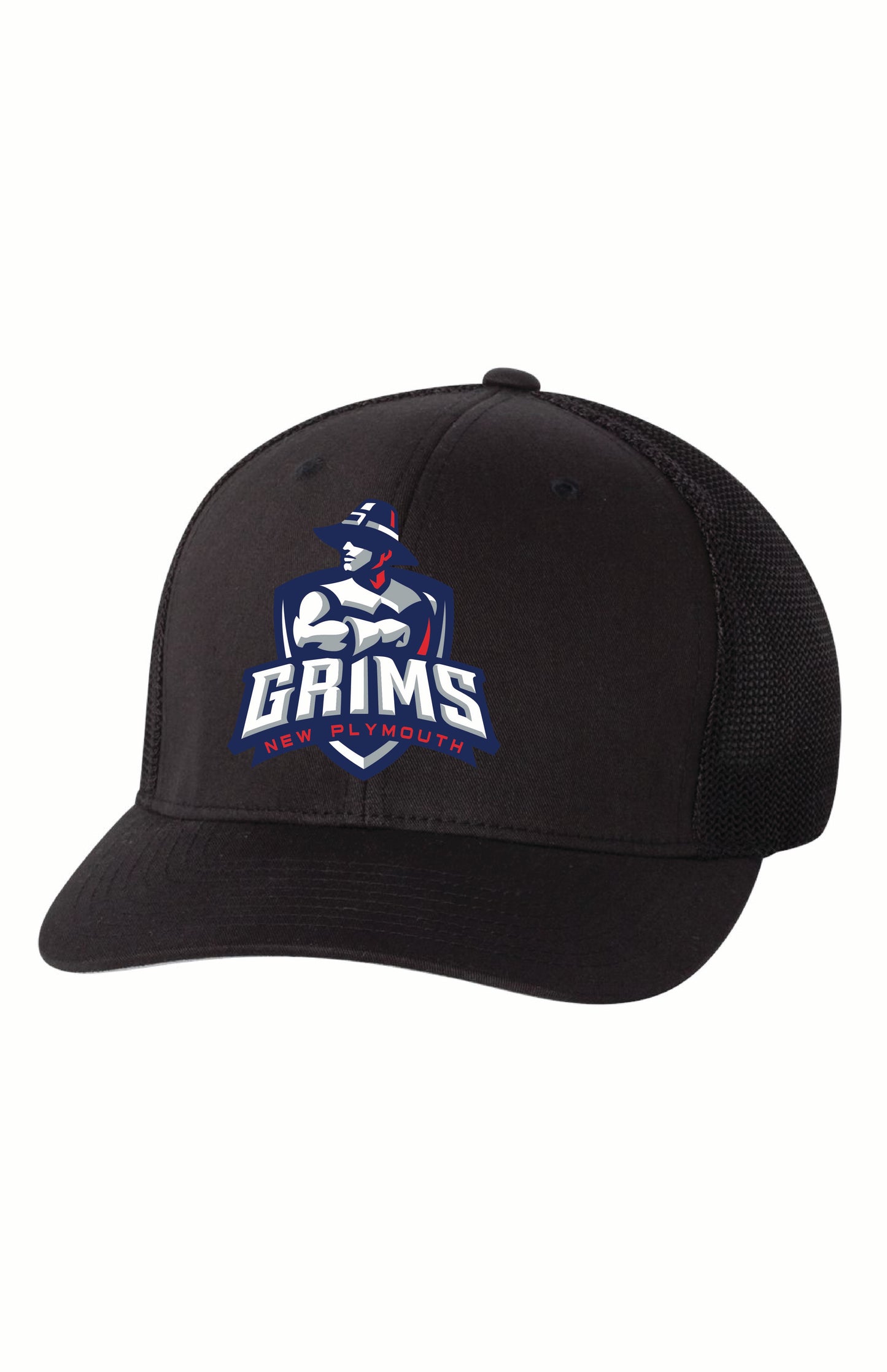 Flex Fit Hat - NP TF '25
