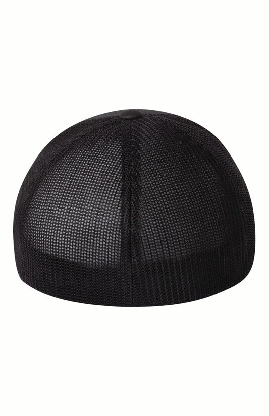 Flex Fit Hat - NP TF '25