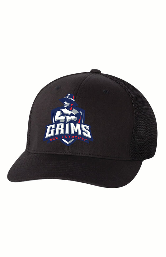 Flex Fit Hat - NP TF '25